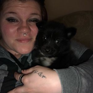 Meet your Posher, Shelby